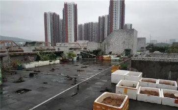楼顶广告位租赁合同6篇