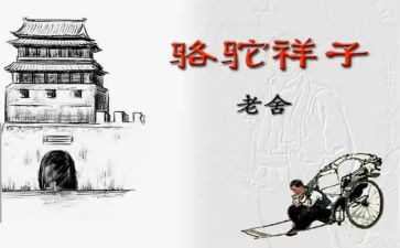 骆驼祥子卖骆驼心得体会推荐5篇