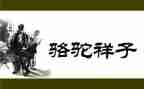 骆驼祥子卖骆驼心得体会6篇
