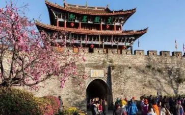 陪旅游管理实习报告模板5篇