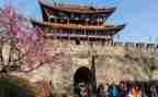陪旅游管理实习报告模板5篇