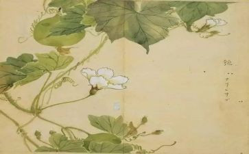 氓和关雎读后感5篇