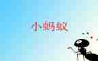 蚂蚁中班教案参考6篇