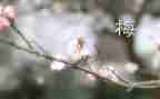张桂梅心得800字5篇