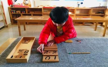 蒙氏教师年度总结推荐5篇