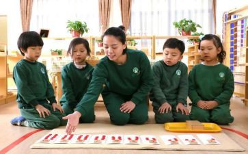 幼儿蒙数培训总结优质6篇