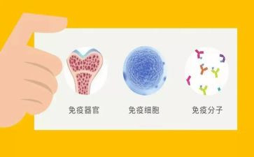 计划免疫工作总结及工作计划5篇