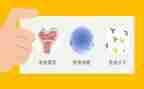 计划免疫工作总结及工作计划5篇
