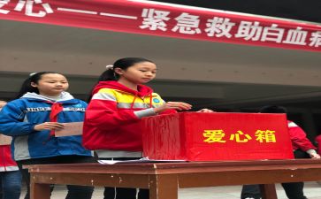 募捐一活动总结8篇