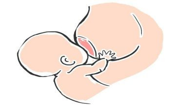 母乳喂养的活动总结8篇