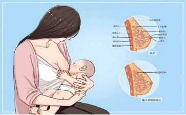 母乳宣传活动总结8篇
