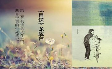龙应台的《目送》读后感通用5篇