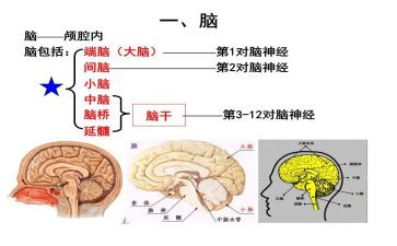 电脑设备采购合同8篇