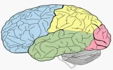 电脑利与弊的调查报告5篇