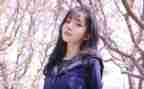 三七女生节活动方案7篇