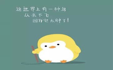 大班胖和瘦教案精选8篇