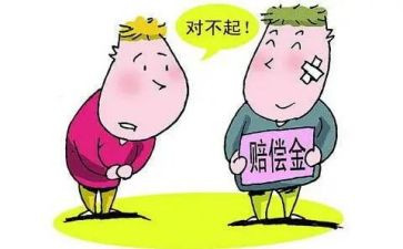 赔偿申请书精选6篇