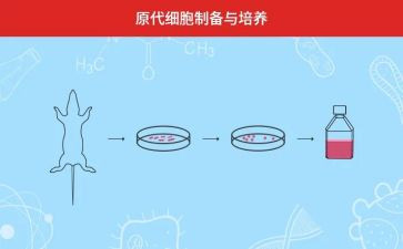 培养青年教师总结7篇
