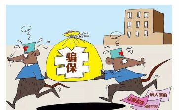 欺诈骗保专项整治工作总结8篇
