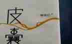 皮囊读书心得通用8篇