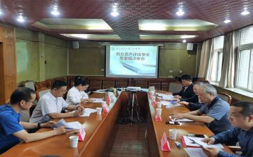 教师高级评审工作总结7篇