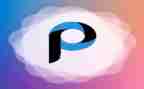 p图调研报告7篇