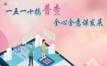普查工作总结通用8篇