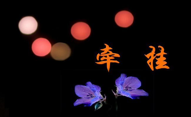 牵挂优秀作文7篇