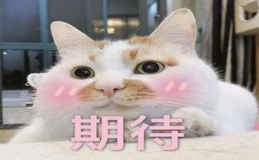 我期待的春节作文400字7篇