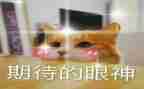 我期待的大学生活作文6篇