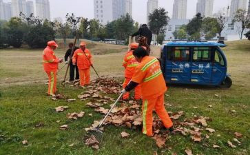 校园清扫活动的总结8篇