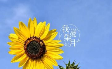 六七月工作总结8篇