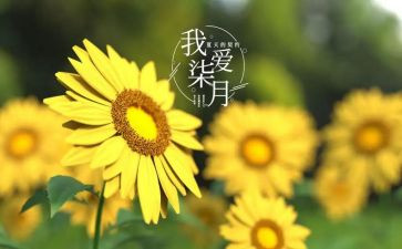 教师七月工作总结7篇