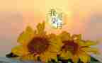中班七月份月工作总结5篇