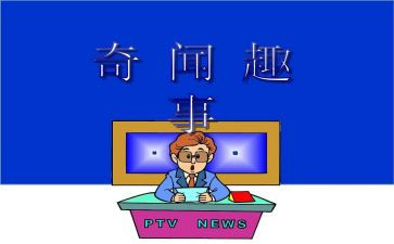 暑假趣事作文通用5篇