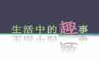 校园有趣事作文精选5篇