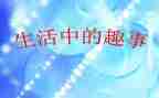 2024年国庆趣事作文600字通用8篇