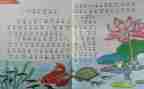 高二生物个人教学工作计划6篇