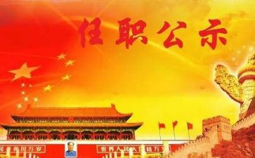 任职以来的工作总结8篇