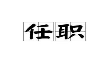 任职以来的工作总结7篇