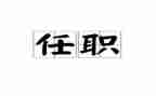 任职以来的工作总结7篇