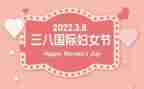 庆祝三八妇活动总结8篇