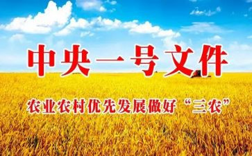 三农工作会议讲话稿8篇