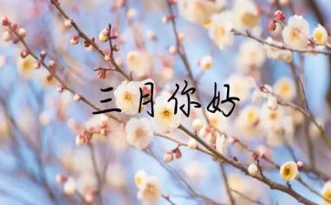 三月份的工作总结最新8篇