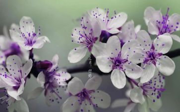 小班三月份工作总结7篇