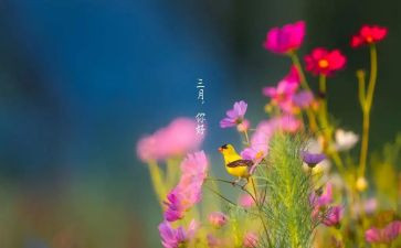 三月份的工作总结优质8篇