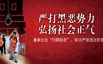 扫黑工作个人总结5篇