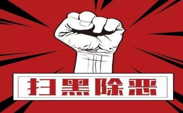扫黑除恶月总结8篇
