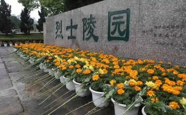 扫墓活动策划8篇