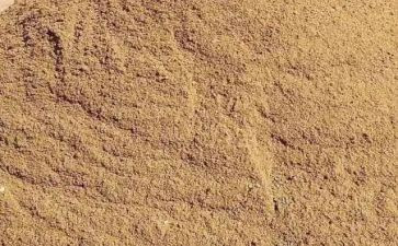 主题沙龙活动方案7篇